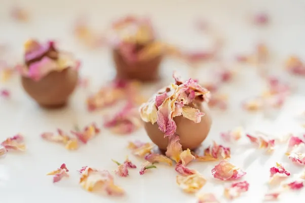 Kasino Rocket Slots Android/iOS aplikace